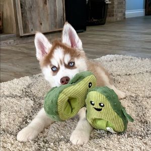 Meet your Posher, Hillary